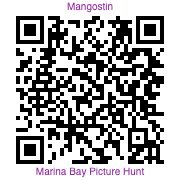 Photo hunt Pasir Ris QR