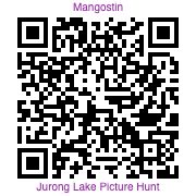 Photo hunt Jurong Lake Gardens QR
