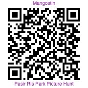 Photo hunt Pasir Ris QR